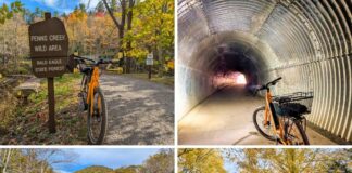 Collage of four photos showcasing scenes along the Penn’s Creek Path in Bald Eagle State Forest, including an orange bicycle near the Penn’s Creek Wild Area sign, inside the curved Poe Paddy Tunnel, overlooking Penn’s Creek with a forested hill in the distance, and a cyclist in an orange jacket riding through a tunnel of golden autumn foliage.