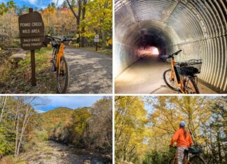 Riding Penn’s Creek Path in the Bald Eagle State Forest Collage of four photos showcasing scenes along the Penn’s Creek Path in Bald Eagle State Forest, including an orange bicycle near the Penn’s Creek Wild Area sign, inside the curved Poe Paddy Tunnel, overlooking Penn’s Creek with a forested hill in the distance, and a cyclist in an orange jacket riding through a tunnel of golden autumn foliage.