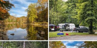 Collage of four photos from Poe Paddy State Park in Centre County, featuring colorful fall reflections along Penns Creek, a wooded campsite with a camper and truck, the park entrance sign surrounded by tall trees, and a rocky creekside view framed by golden autumn foliage beneath a blue sky.