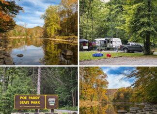 Exploring Poe Paddy State Park in Centre County Collage of four photos from Poe Paddy State Park in Centre County, featuring colorful fall reflections along Penns Creek, a wooded campsite with a camper and truck, the park entrance sign surrounded by tall trees, and a rocky creekside view framed by golden autumn foliage beneath a blue sky.