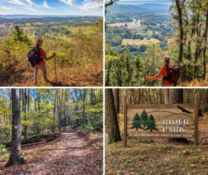 Collage of four photos from Rider Park in Lycoming County, Pennsylvania, featuring a hiker admiring panoramic valley views, a scenic overlook of Loyalsock Creek, a leaf-covered forest trail marked with a yellow blaze, and the park’s wooden entrance sign surrounded by tall trees.
