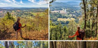 Collage of four photos from Rider Park in Lycoming County, Pennsylvania, featuring a hiker admiring panoramic valley views, a scenic overlook of Loyalsock Creek, a leaf-covered forest trail marked with a yellow blaze, and the park’s wooden entrance sign surrounded by tall trees.