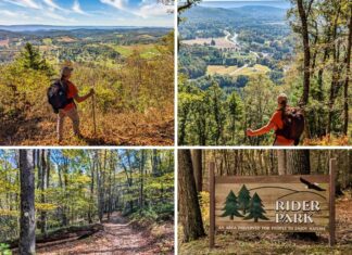 Collage of four photos from Rider Park in Lycoming County, Pennsylvania, featuring a hiker admiring panoramic valley views, a scenic overlook of Loyalsock Creek, a leaf-covered forest trail marked with a yellow blaze, and the park’s wooden entrance sign surrounded by tall trees.