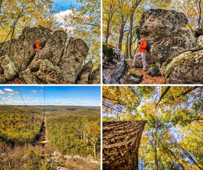 A collage of four autumn photos from the Rocky Ridge Natural Area in Huntingdon County, Pennsylvania, featuring a hiker exploring the massive limestone pillars of the Three Sisters Rock Formation, a sweeping forested vista from a powerline overlook, and golden foliage viewed from beneath the tall trees.