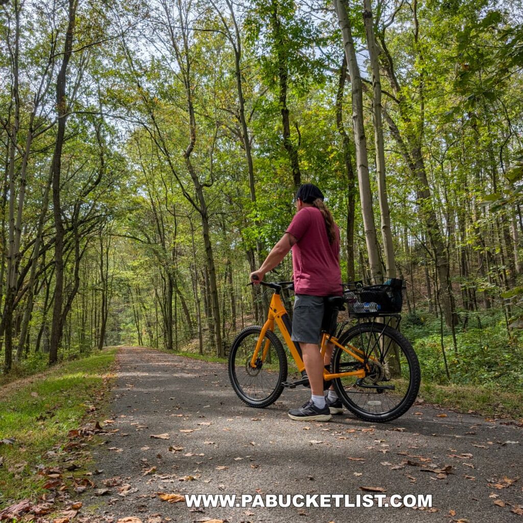 A cyclist wearing a red shirt and black shorts pauses with a bright yellow bicycle on the paved Hoodlebug Trail in Indiana County, Pennsylvania. The trail stretches ahead beneath a canopy of tall green trees, with early autumn leaves scattered along the path. Sunlight filters through the branches, creating a peaceful woodland scene along the 10-mile rail trail that follows the former Pennsylvania Railroad’s Indiana Branch, once used by the self-propelled “Hoodlebug” passenger coach.