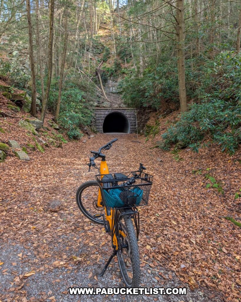 An orange bicycle with a black basket sits on a leaf-covered gravel trail leading to the west entrance of the Poe Paddy Tunnel along the Penn’s Creek Path in Bald Eagle State Forest, surrounded by rhododendrons and tall trees on a crisp autumn day.