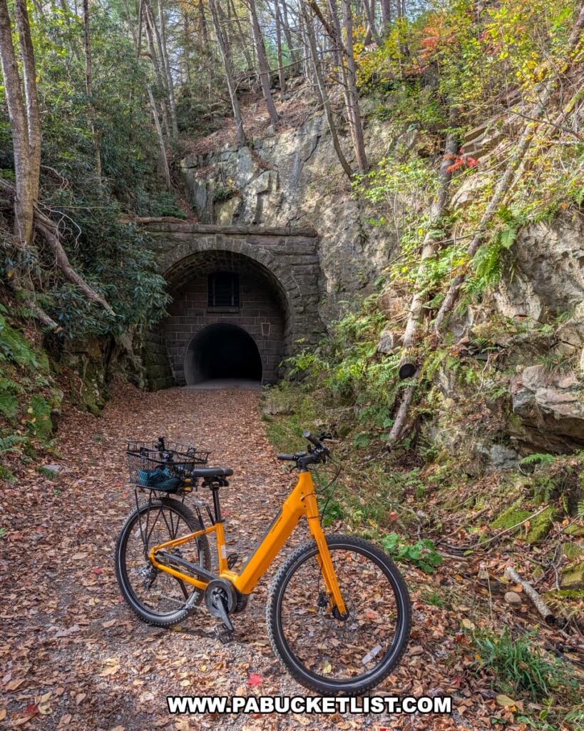 An orange bicycle with a black basket rests on a leaf-strewn trail in front of the eastern entrance of the Poe Paddy Tunnel along the Penn’s Creek Path in Bald Eagle State Forest, with rocky cliffs and colorful autumn foliage surrounding the tunnel portal.