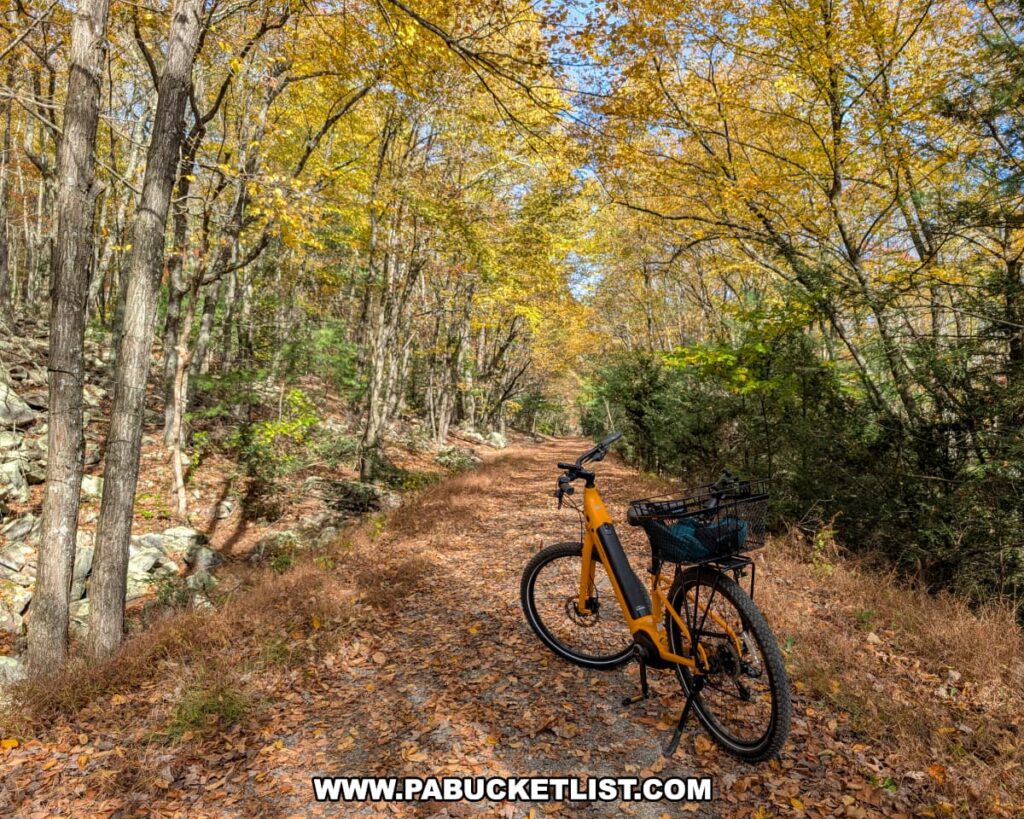 An orange bicycle with a black basket rests on a leaf-covered gravel trail surrounded by golden autumn foliage along the Penn’s Creek Path in Bald Eagle State Forest, with sunlight filtering through the trees and rocky hillsides lining the path.