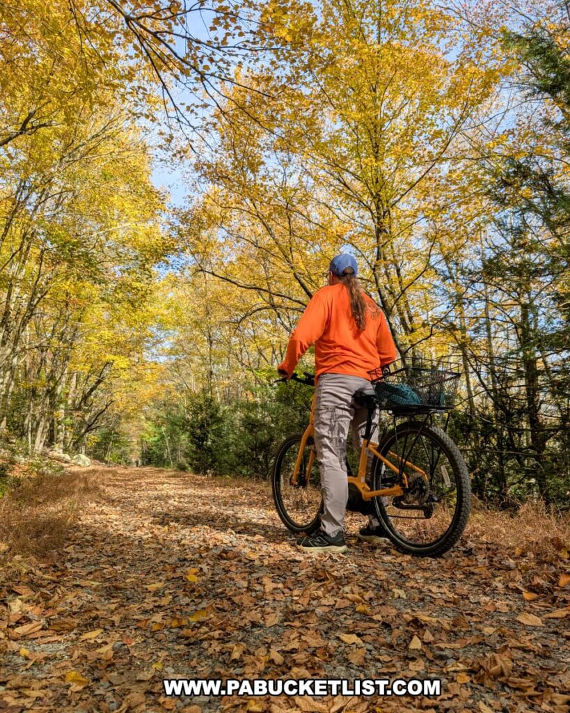 A cyclist wearing an orange jacket and blue cap pauses on a gravel trail covered in autumn leaves along the Penn’s Creek Path in Bald Eagle State Forest, surrounded by golden foliage and sunlight filtering through the trees.