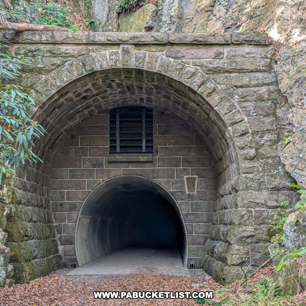Close-up view of the eastern entrance to the Poe Paddy Tunnel along the Penn’s Creek Path in Bald Eagle State Forest, showing the stone archway, curved tunnel interior, and a small grated bat entrance above the main passage.