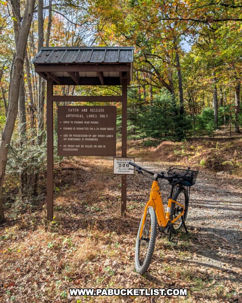 An orange bicycle is parked beside a wooden signboard at the eastern terminus of the Penn’s Creek Path in Bald Eagle State Forest, surrounded by autumn foliage and sunlight filtering through the trees.
