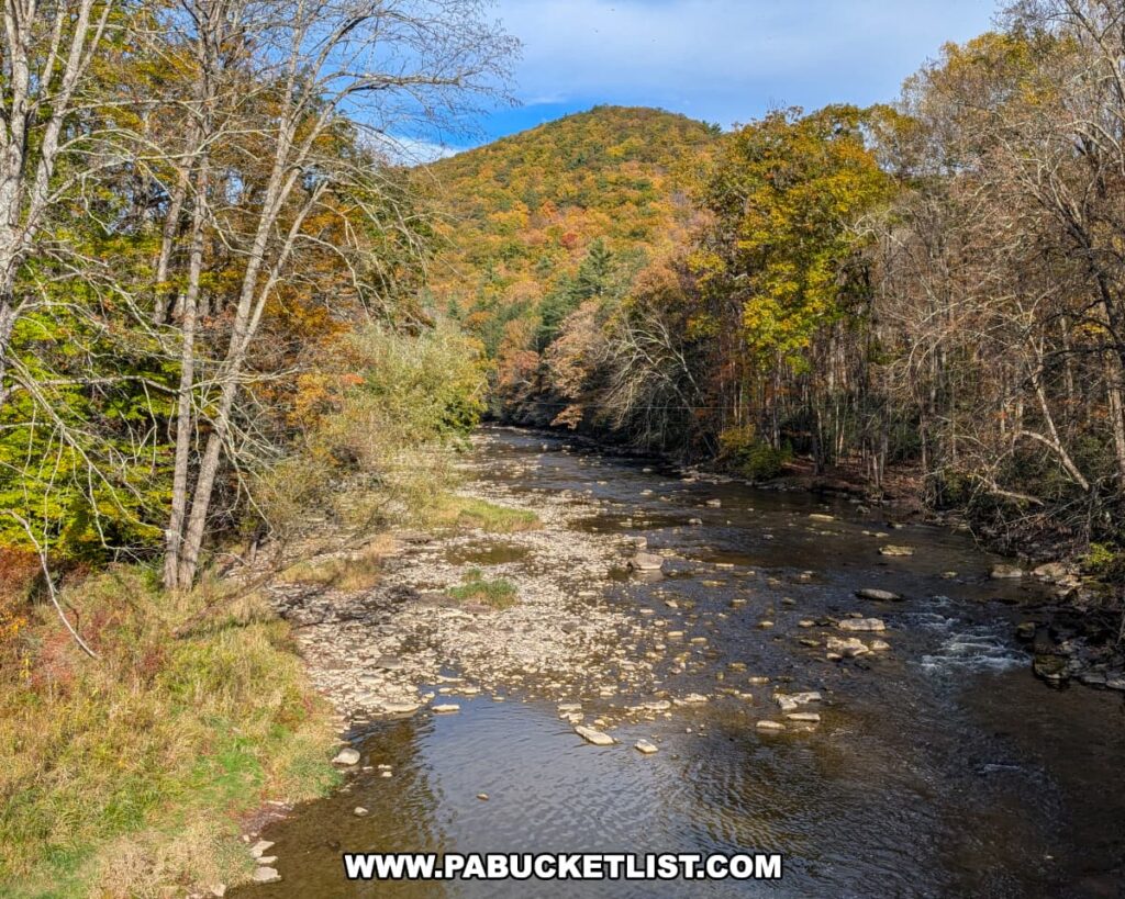 View of Penn’s Creek flowing through a forested valley in Bald Eagle State Forest, with autumn-colored trees lining the banks and a forested mountain rising in the background under a partly cloudy sky.