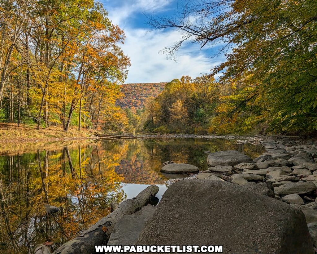 View of Penns Creek at Poe Paddy State Park in Centre County, with calm water reflecting golden autumn foliage and forested hills under a blue sky, framed by smooth rocks and fallen logs along the creek’s edge.