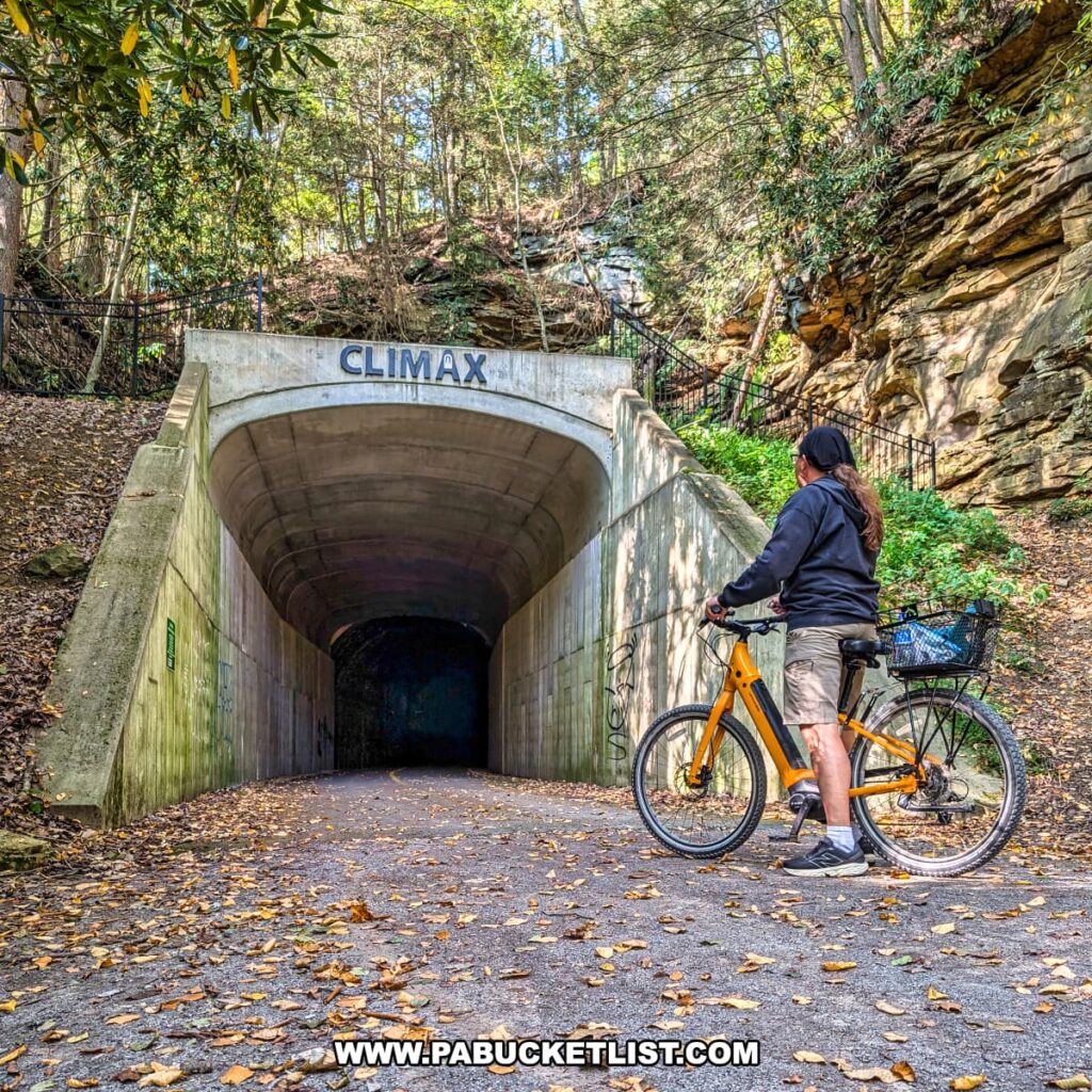 Cyclist with an orange bike stopping at the northeastern entrance of the Climax Tunnel along the Redbank Valley Rail Trail, surrounded by rocky cliffs and forest.