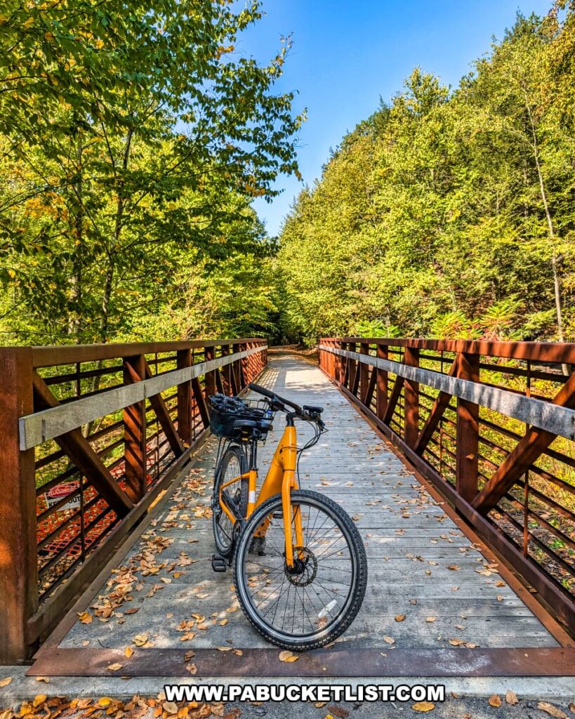 Orange bicycle parked on the Terry Mateer Bridge, a wooden-decked steel truss bridge crossing Long Run along the Redbank Valley Rail Trail, surrounded by dense green forest.