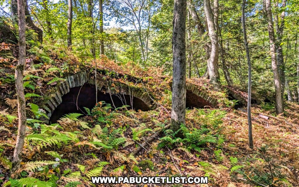 Row of 19th-century brick coke oven ruins partially buried and overgrown with ferns and forest vegetation along the Redbank Valley Rail Trail.