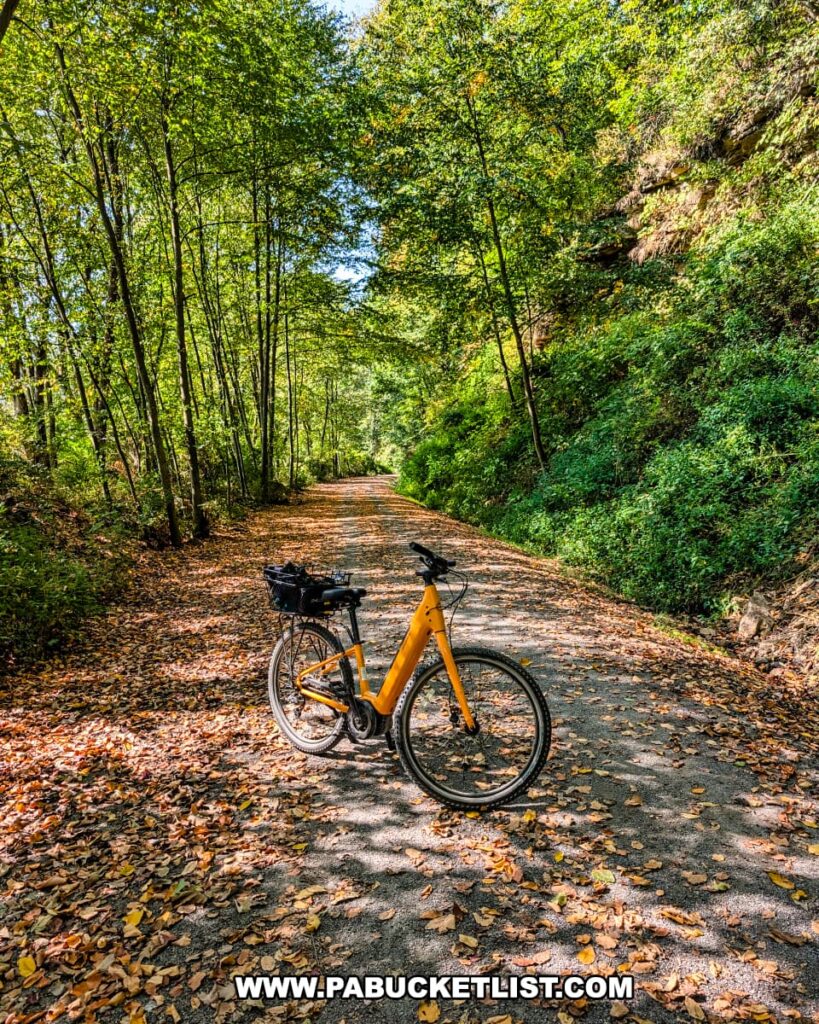 Orange bicycle resting on a leaf-covered gravel path of the Redbank Valley Rail Trail in September, surrounded by tall green trees and a rocky hillside.