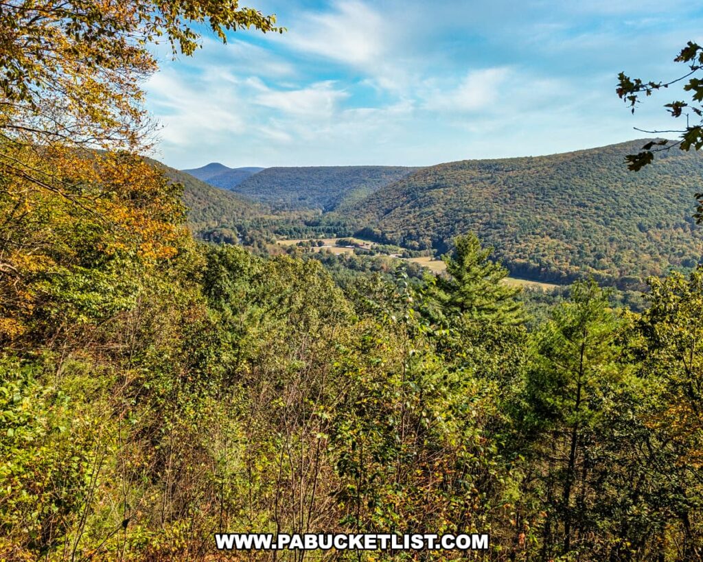 Expansive view from Doe Pen Vista at Rider Park in Lycoming County, Pennsylvania, showcasing a forested valley surrounded by rolling, tree-covered mountains under a bright blue sky with scattered clouds.