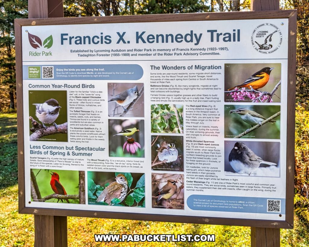 Informational sign for the Francis X. Kennedy Trail at Rider Park in Lycoming County, Pennsylvania, featuring details about local bird species, migration patterns, and photos of birds commonly seen along the trail.