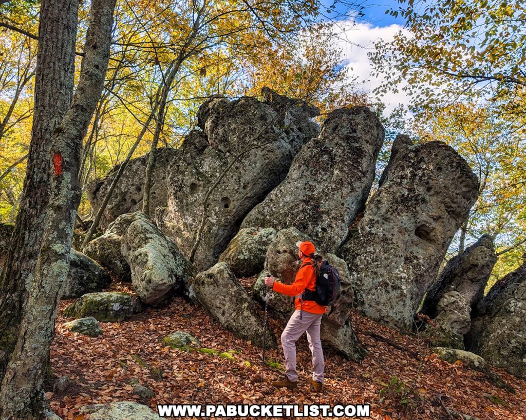 A hiker in an orange jacket stands beside the towering, weathered boulders of the Three Sisters Rock Formation in the Rocky Ridge Natural Area, surrounded by colorful autumn foliage and dappled sunlight filtering through the trees in Huntingdon County, Pennsylvania.