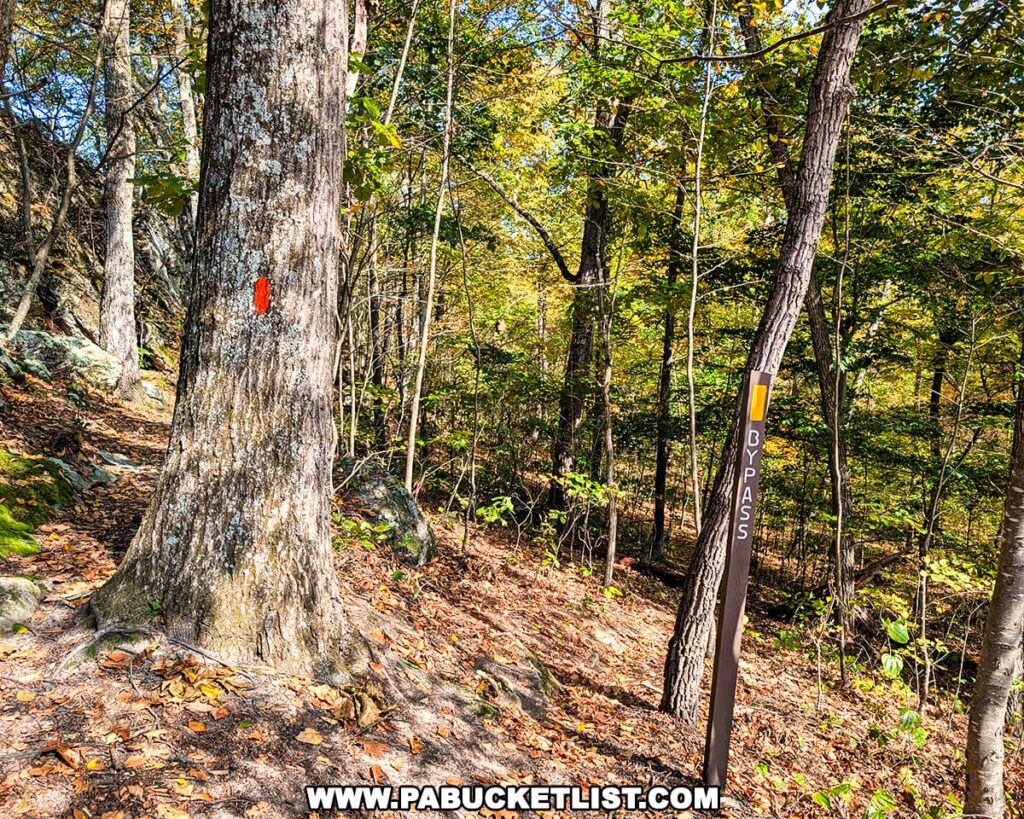 A forest trail near the Three Sisters Rock Formation in the Rocky Ridge Natural Area, marked with an orange blaze on a large tree and a brown “Bypass” trail sign surrounded by early autumn foliage in Huntingdon County, Pennsylvania.