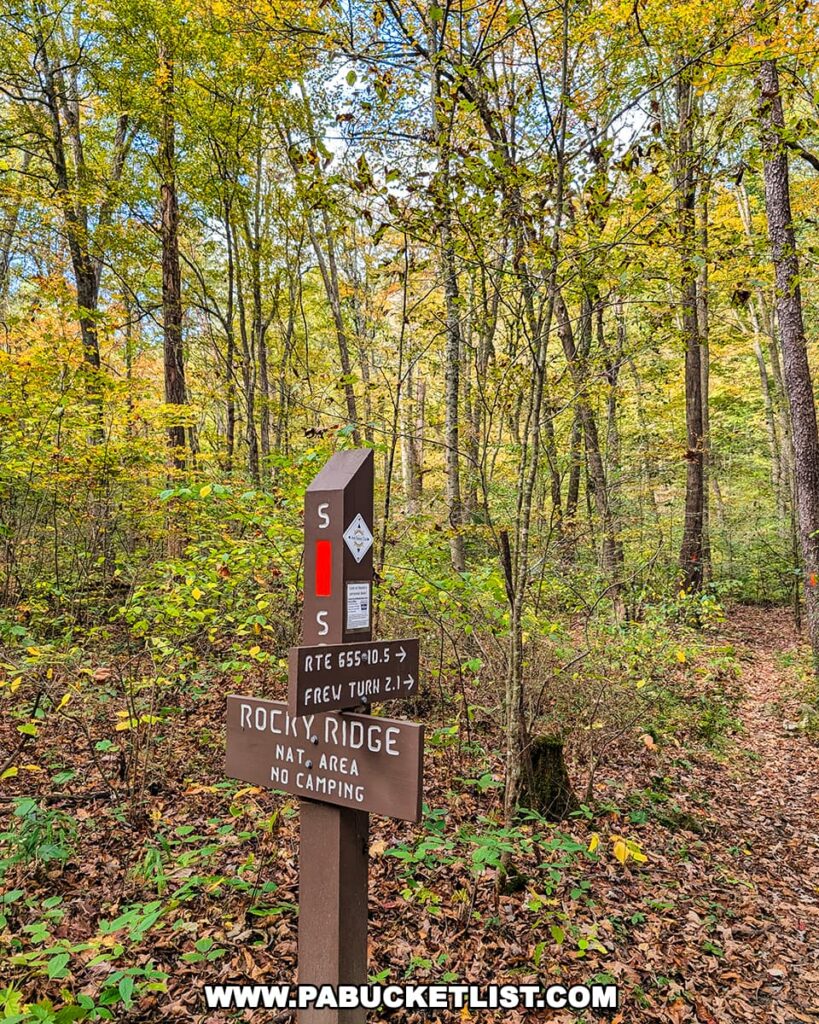 A wooden trail sign marks the entrance to the Rocky Ridge Natural Area along the Standing Stone Trail, surrounded by colorful autumn foliage and a leaf-covered forest path in Huntingdon County, Pennsylvania.