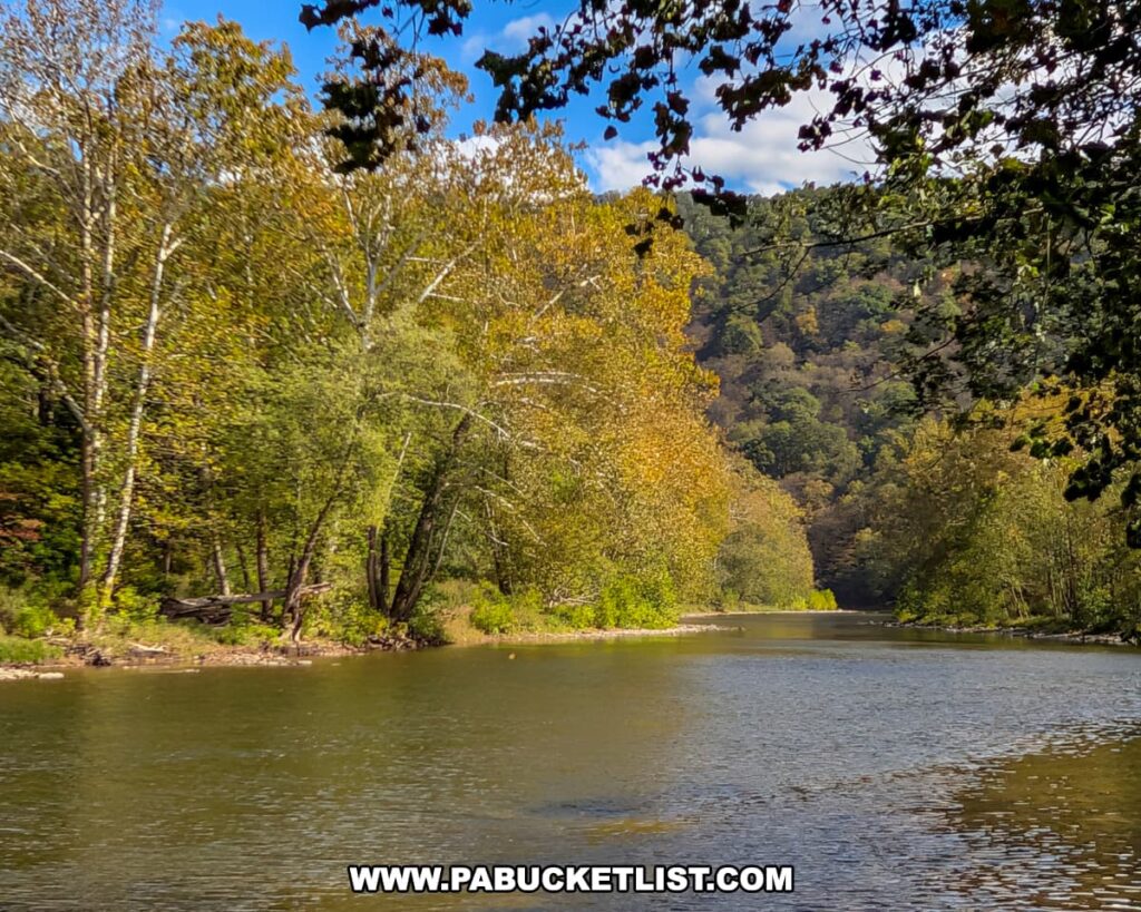 The Raystown Branch of the Juniata River winds through Warriors Path State Park in Bedford County, Pennsylvania, flanked by trees with early autumn foliage beneath a bright blue sky.