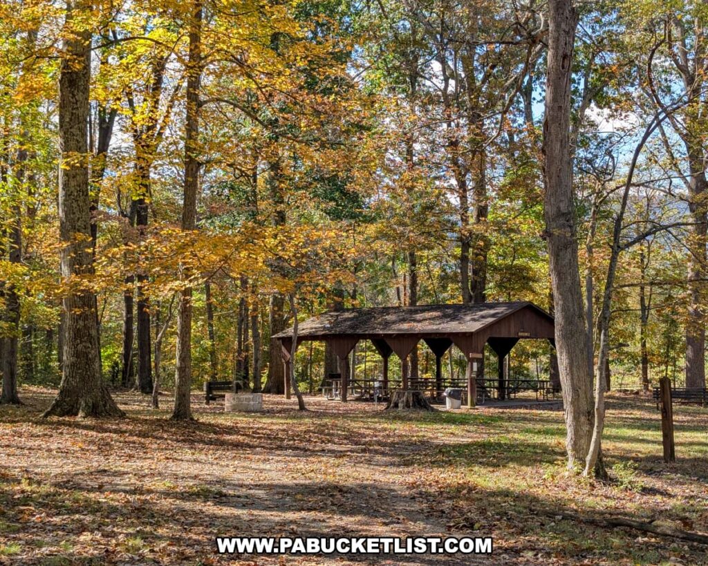 A rustic wooden picnic pavilion sits among tall trees with golden autumn leaves at Warriors Path State Park in Bedford County, Pennsylvania, on a sunny fall afternoon.
