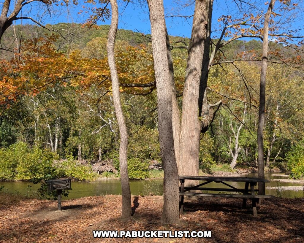 A picnic table and charcoal grill sit beneath tall trees overlooking the Raystown Branch of the Juniata River at Warriors Path State Park in Bedford County, Pennsylvania, surrounded by colorful autumn foliage under a clear blue sky.