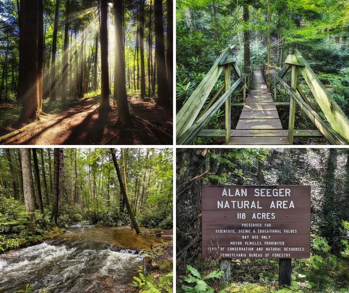 A collage of photos taken in the Alan Seeger Natural Area in Huntingdon County Pennsylvania.