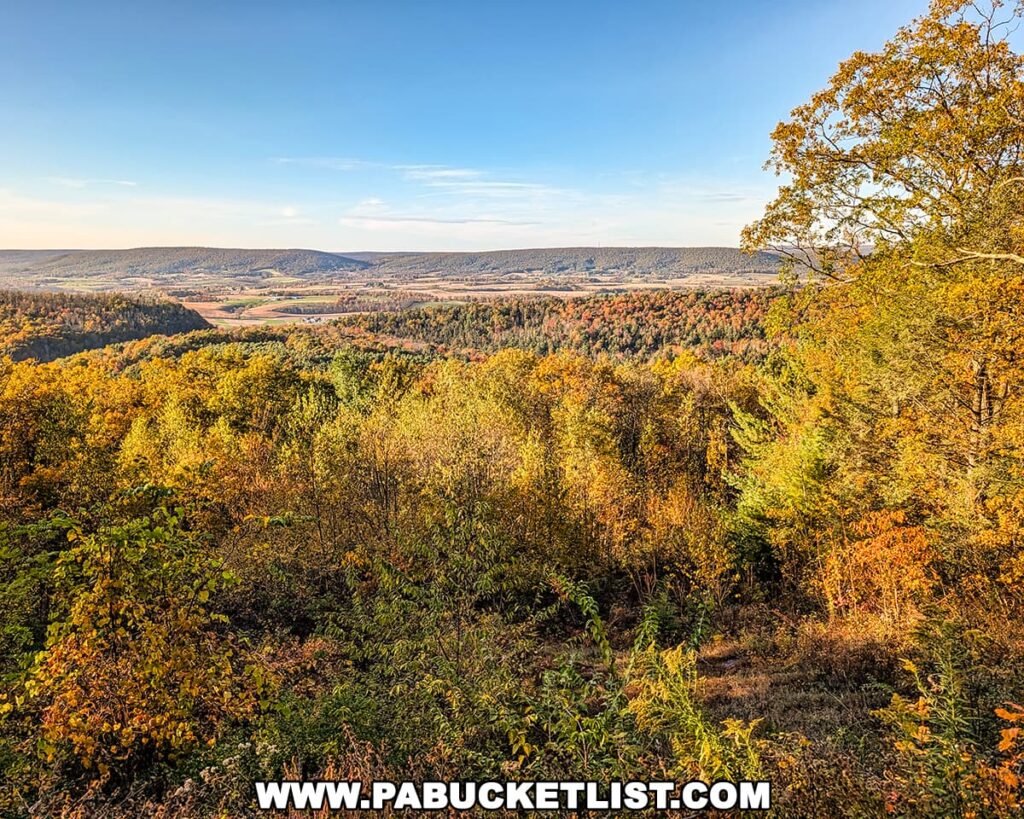 Expansive autumn view from Bell’s Majestic Vista in the Centre County portion of Bald Eagle State Forest, showcasing colorful fall foliage in the foreground and rolling farmland and forested ridges stretching toward the horizon under a clear October sky.
