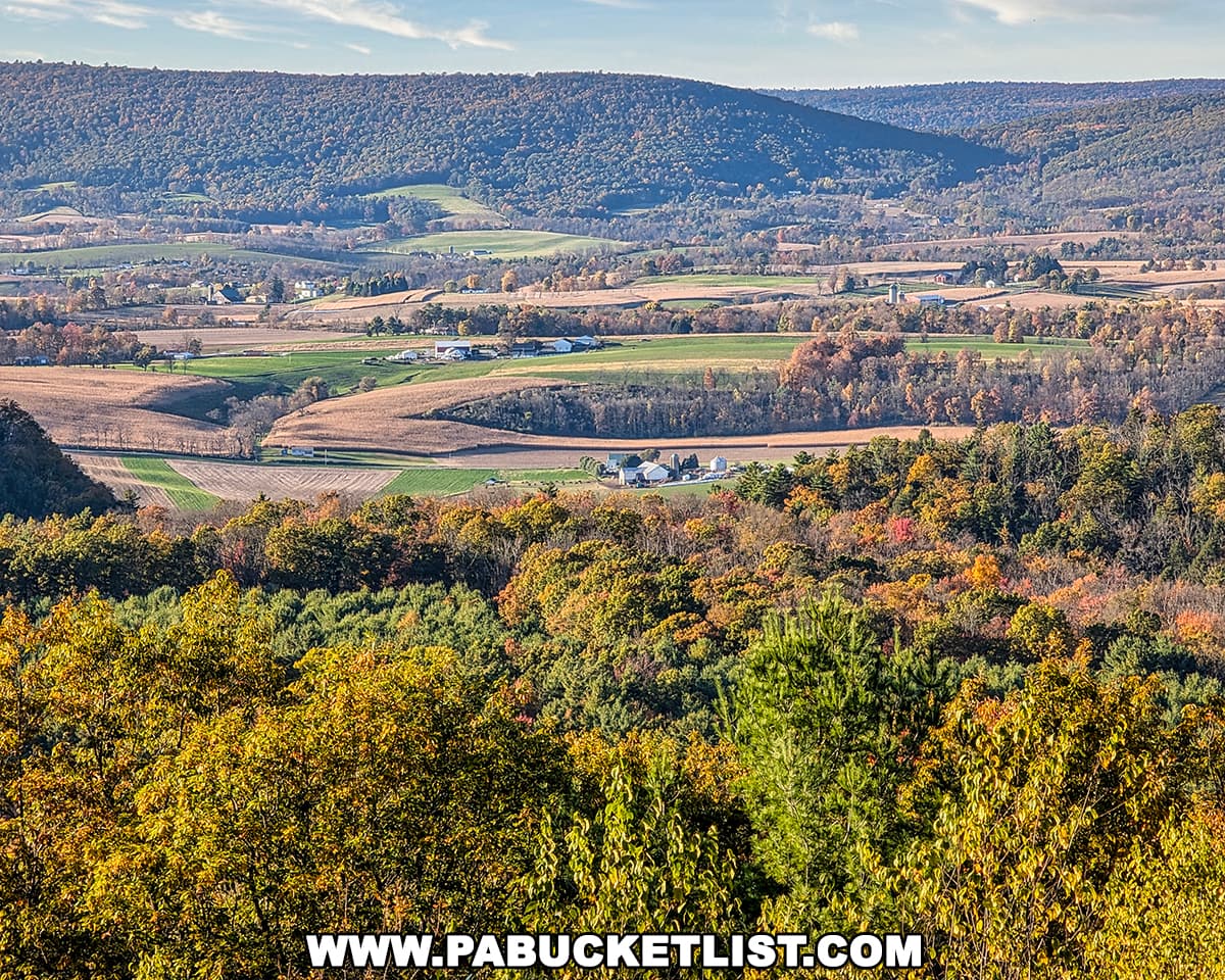 Colorful fall foliage and patchwork farmland viewed from Bell’s Majestic Vista in the Centre County portion of Bald Eagle State Forest, with rolling forested ridges and farmsteads stretching across the valley under a clear October sky.