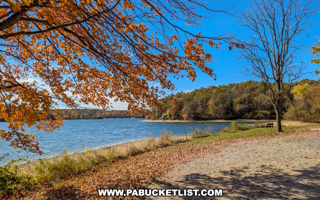 A peaceful shoreline view of Lake Marburg at Codorus State Park in York County, Pennsylvania, with golden autumn leaves framing the scene, a bench near the water’s edge, and a clear blue sky overhead.