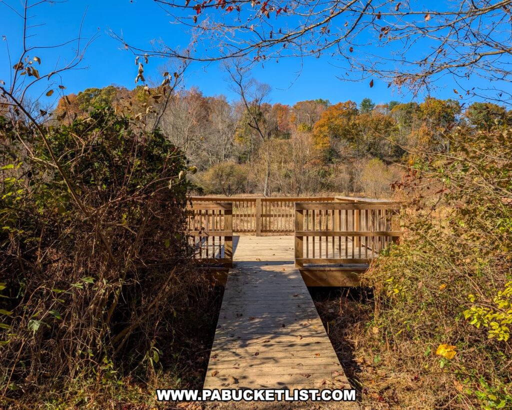 A wooden boardwalk leads to an elevated viewing platform surrounded by trees and brush with autumn foliage at Codorus State Park in York County, Pennsylvania, under a clear blue sky.
