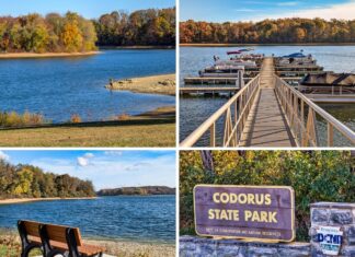Exploring Codorus State Park in York County A collage of four photos showcasing Codorus State Park in York County, Pennsylvania, featuring a fisherman on Lake Marburg, a marina with docked boats, benches overlooking the lake, and the park’s entrance sign surrounded by autumn foliage.
