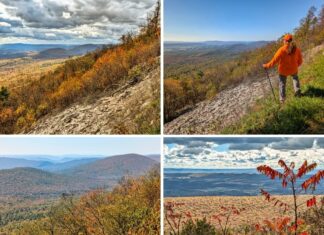 Exploring Harry’s Valley Vista in Huntingdon County Collage of four autumn landscapes from Harry’s Valley Vista in Rothrock State Forest, featuring sweeping mountain and valley views, vibrant fall foliage, rocky slopes, and a hiker in orange admiring the panoramic scenery beneath dramatic clouds and bright blue skies.