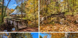 A collage of four scenes from Mont Alto State Park in Franklin County, Pennsylvania, featuring the park’s round dance pavilion beside a wooden footbridge, the West Branch of Antietam Creek covered in autumn leaves, a wooden playground surrounded by colorful trees, and the main park sign under golden fall foliage.
