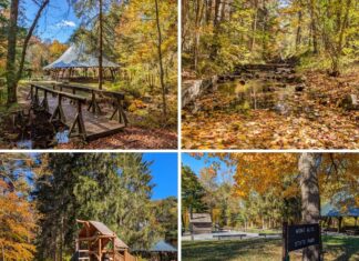 Exploring Mont Alto State Park in Franklin County A collage of four scenes from Mont Alto State Park in Franklin County, Pennsylvania, featuring the park’s round dance pavilion beside a wooden footbridge, the West Branch of Antietam Creek covered in autumn leaves, a wooden playground surrounded by colorful trees, and the main park sign under golden fall foliage.