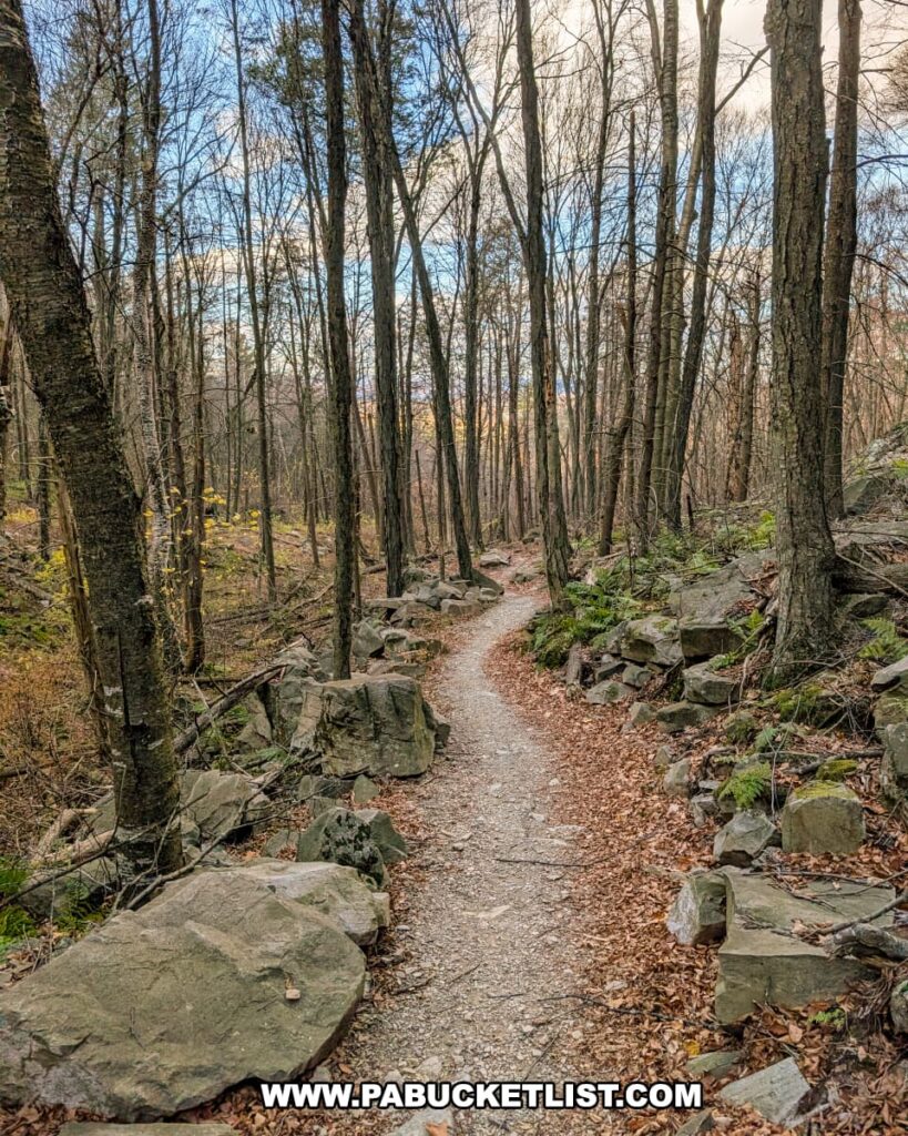 Rocky forest trail winding downhill through leaf-covered ground and bare trees near Hubler Gap Vista in Rothrock State Forest on an early November day.