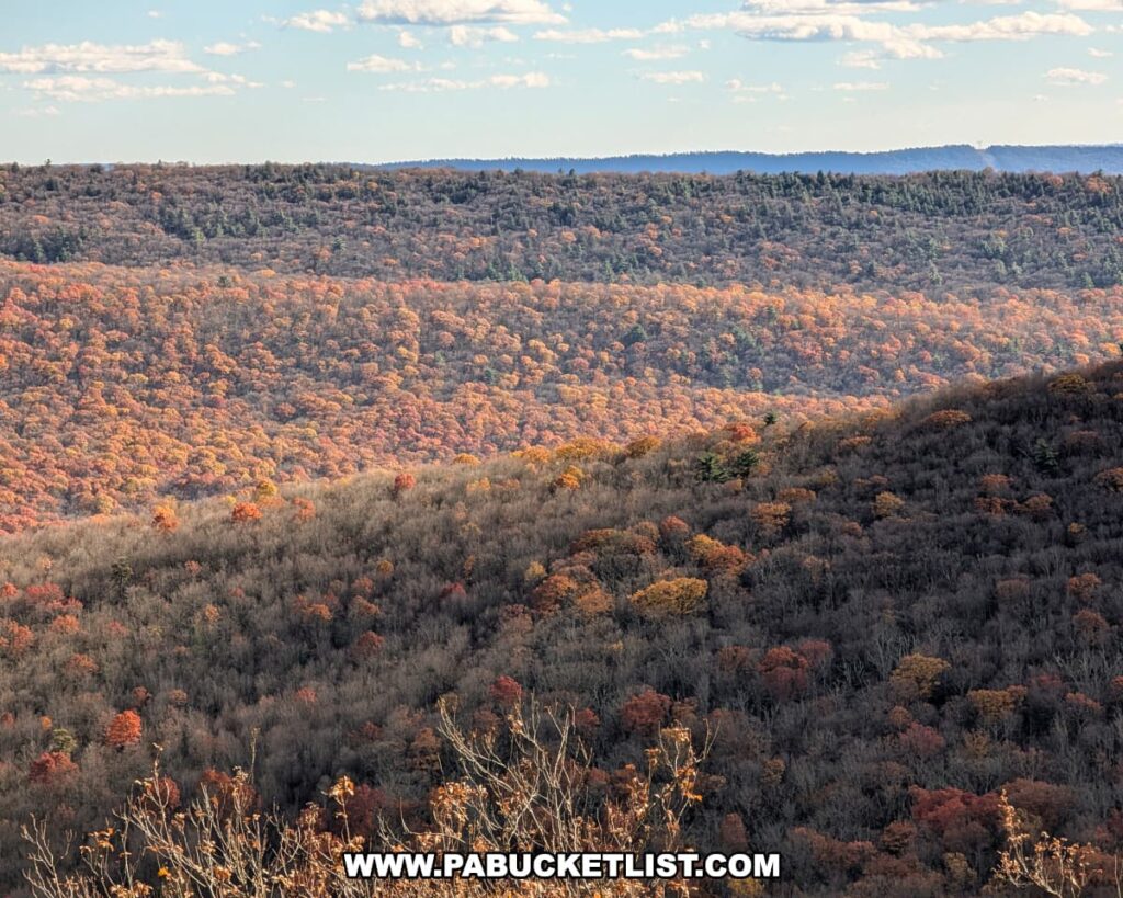 View from Hubler Gap Vista in Rothrock State Forest near State College, showing layers of forested ridges blanketed in late autumn foliage with patches of orange and gold trees under a bright blue sky with scattered clouds.