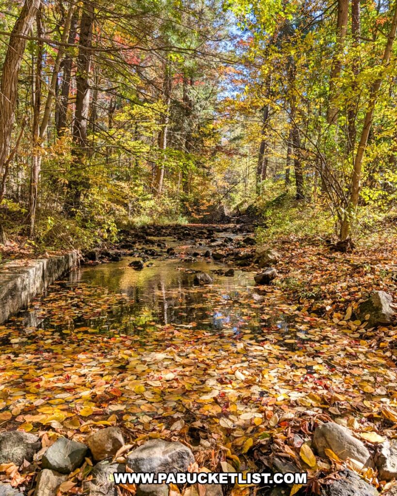 A tranquil autumn scene at Mont Alto State Park in Franklin County, Pennsylvania, showing the West Branch of Antietam Creek covered in colorful fallen leaves and surrounded by trees glowing with seasonal foliage.