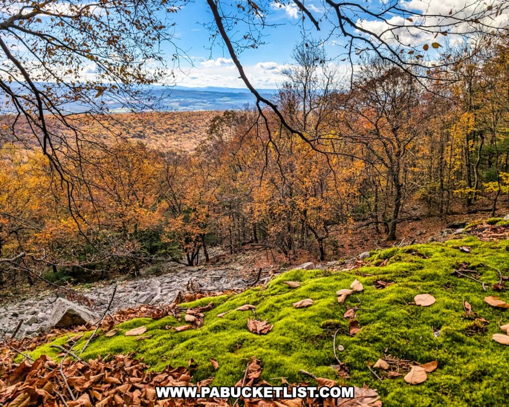 Moss-covered rocks overlooking an autumn forest along the Pump Station Trail near Harry’s Valley Vista in Rothrock State Forest, with colorful foliage and distant blue ridges visible through the trees under a bright sky.