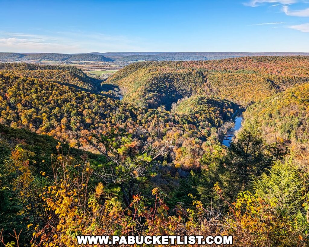 Expansive view from Penn’s View in the Centre County portion of Bald Eagle State Forest, showcasing the winding valley of Penns Creek surrounded by forested ridges glowing with peak autumn foliage under a bright blue October sky.