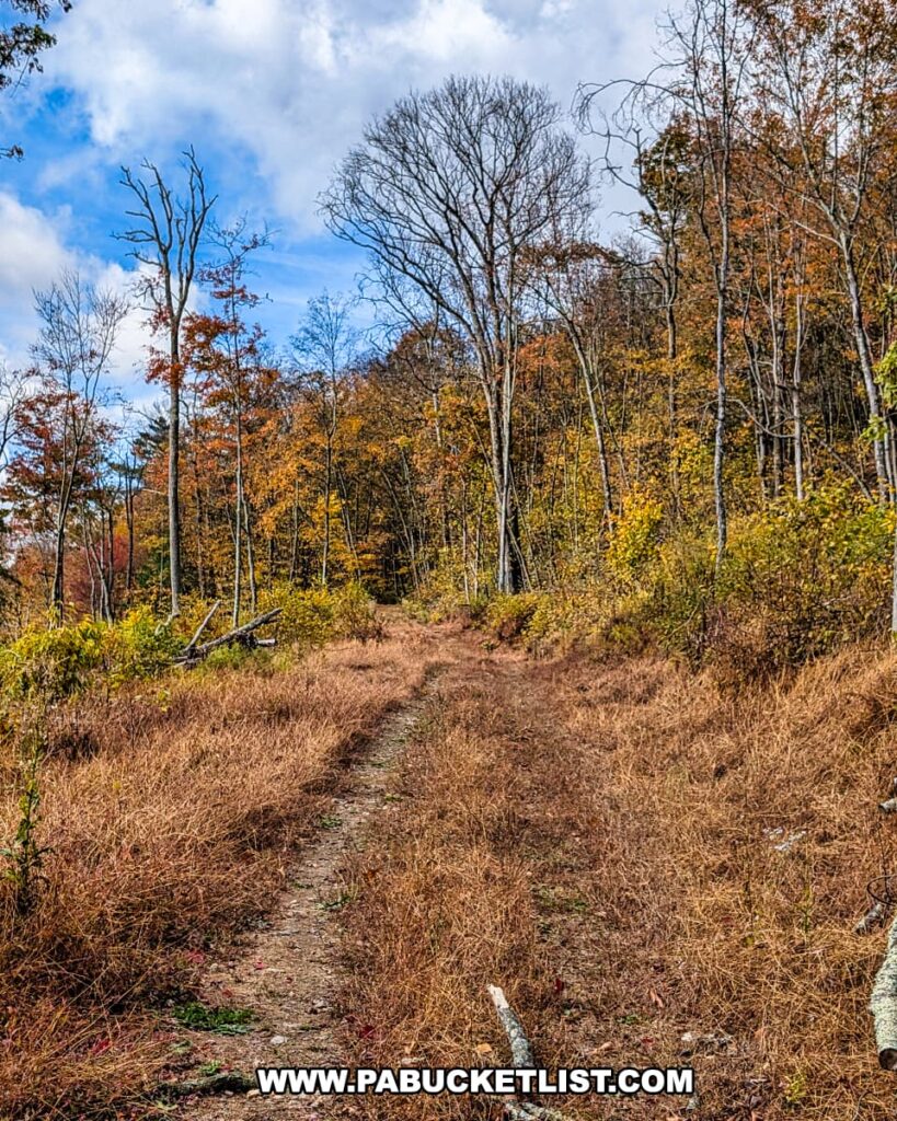 Lower portion of the Pump Station Trail near Harry’s Valley Vista in Rothrock State Forest, featuring a narrow grassy path lined with colorful autumn trees beneath a partly cloudy blue sky.