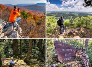 19 Must-See Attractions in the Rothrock State Forest Collage of four scenes from Rothrock State Forest showing hikers photographing sweeping mountain vistas, an angler fly-fishing along a forested stream, and a rustic “Welcome to Rothrock State Forest” sign set among mossy stones and dense woodland.