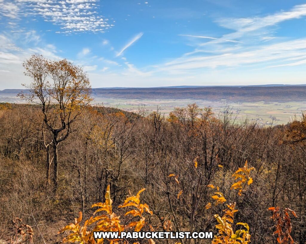 A sweeping view from the Stone Mountain Hawk Watch in Mifflin County, Pennsylvania, showcasing a valley dotted with farms and framed by distant ridges under a bright blue sky, with late-autumn trees displaying the last traces of golden leaves in the foreground.
