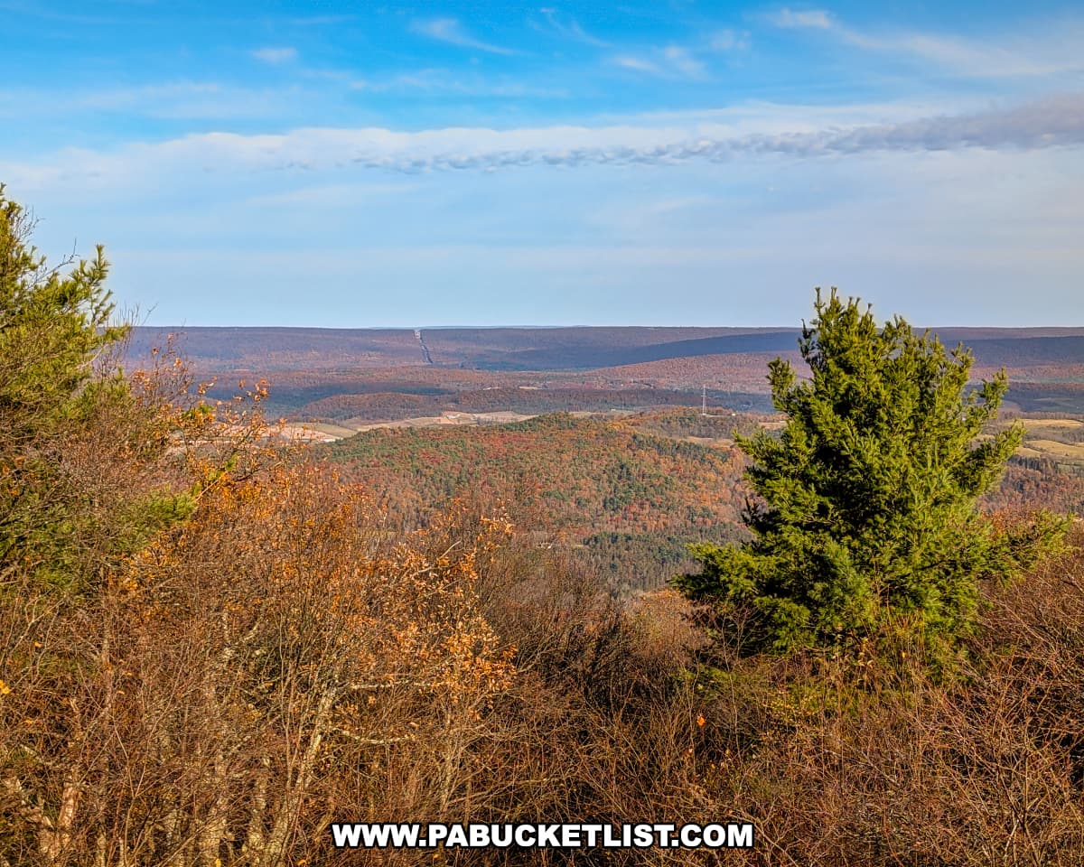Expansive view from the Stone Mountain Hawk Watch in Mifflin County, Pennsylvania, looking west across forested ridges and valleys tinted with late autumn colors beneath a bright blue sky.