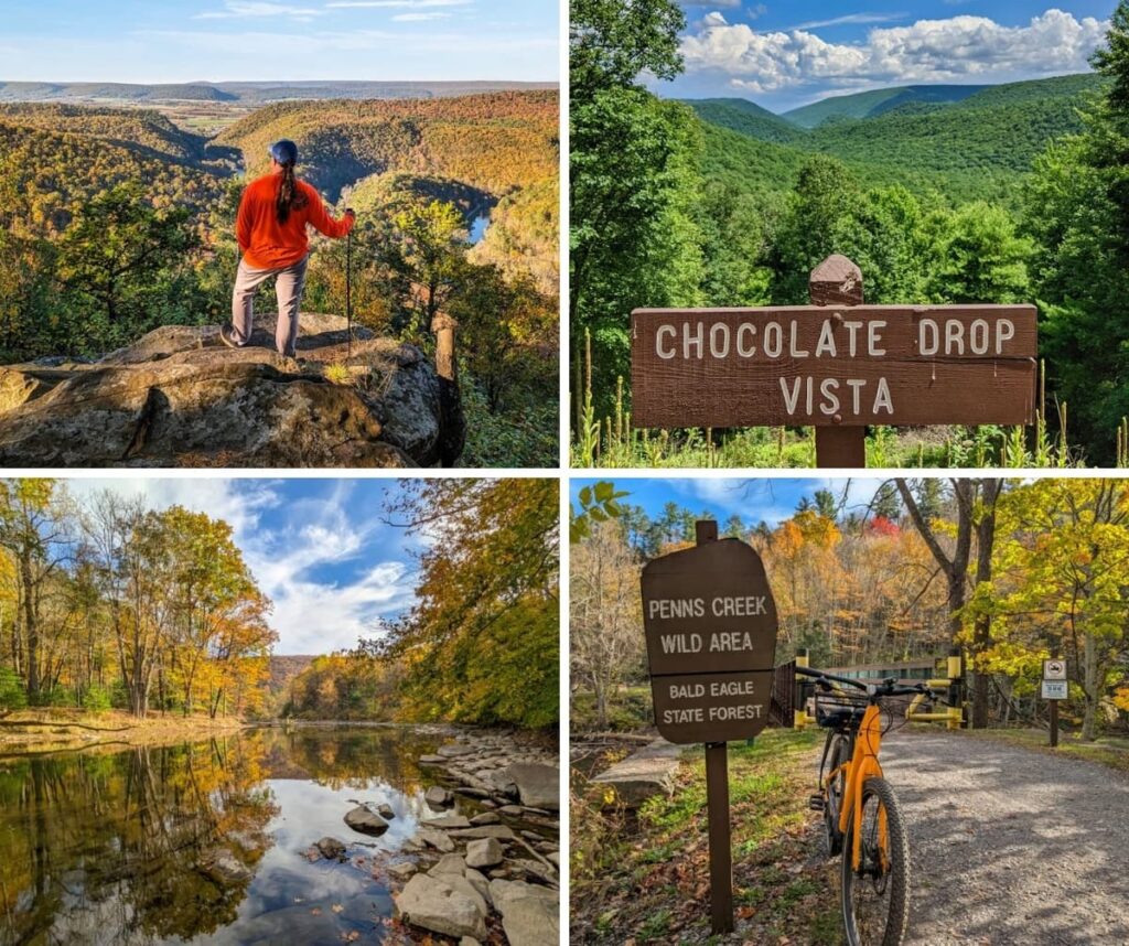 A collage of four photos from Bald Eagle State Forest in Pennsylvania, featuring a hiker overlooking a deep, forested canyon, the sweeping mountain views at Chocolate Drop Vista, a calm stretch of Penns Creek reflecting autumn foliage, and the Penns Creek Wild Area trailhead marked by a wooden sign beside a bike.