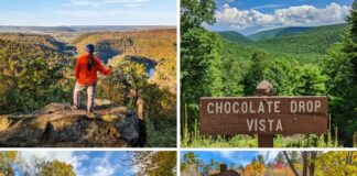 A collage of four photos from Bald Eagle State Forest in Pennsylvania, featuring a hiker overlooking a deep, forested canyon, the sweeping mountain views at Chocolate Drop Vista, a calm stretch of Penns Creek reflecting autumn foliage, and the Penns Creek Wild Area trailhead marked by a wooden sign beside a bike.