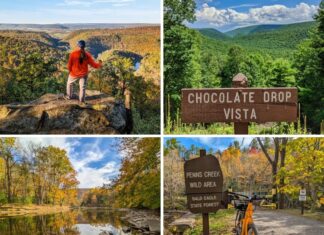 11 Must-See Attractions in the Bald Eagle State Forest A collage of four photos from Bald Eagle State Forest in Pennsylvania, featuring a hiker overlooking a deep, forested canyon, the sweeping mountain views at Chocolate Drop Vista, a calm stretch of Penns Creek reflecting autumn foliage, and the Penns Creek Wild Area trailhead marked by a wooden sign beside a bike.